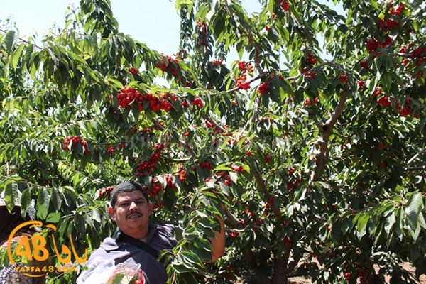 re7la bayere3jqw (16).JPG